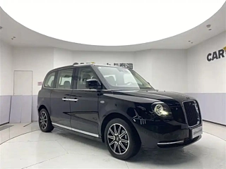 Заказать LEVC TX