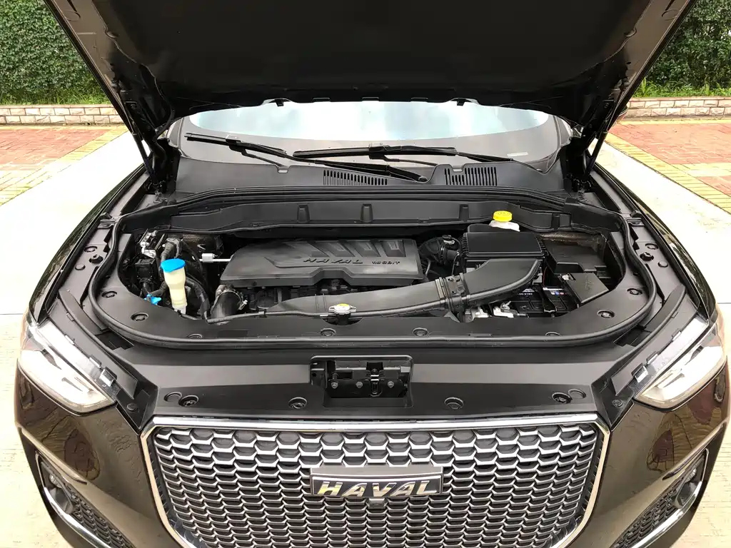 HAVAL F5 2019