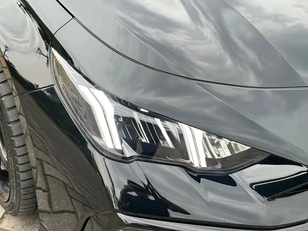 TRUMPCHI EMPOW 2023