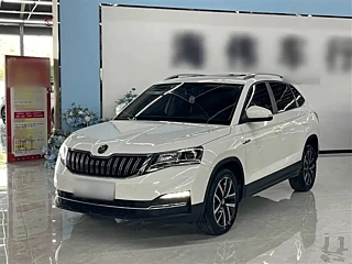 SKODA &#26607;&#31859;&#20811;  2020