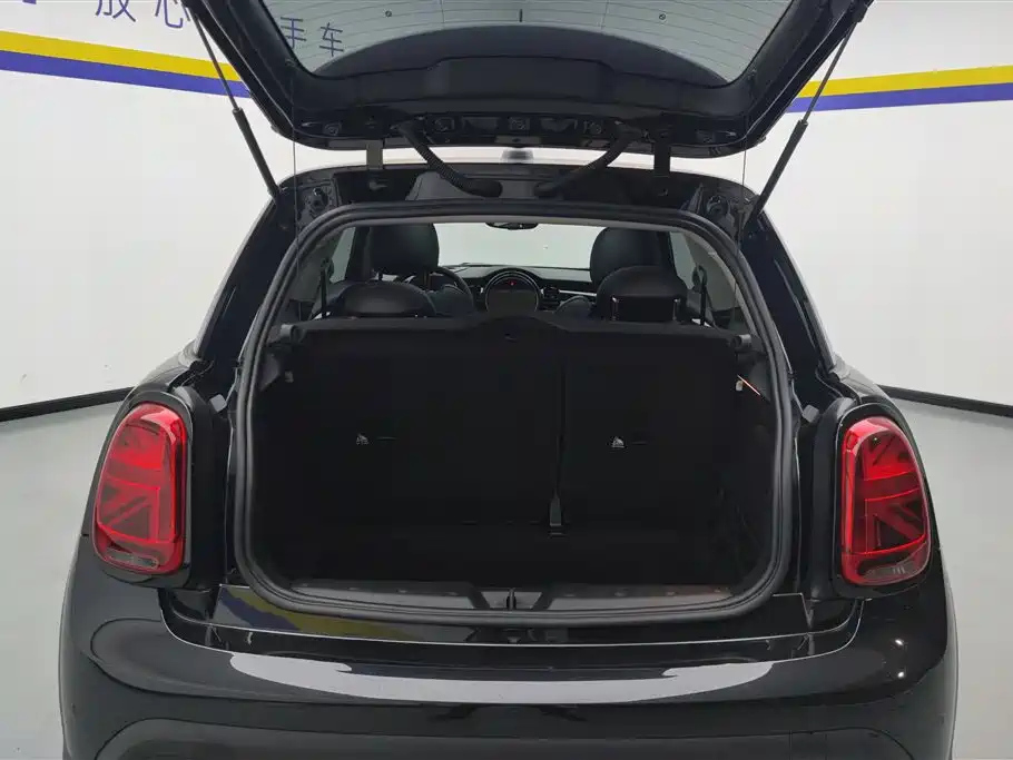 MINI OTHER 2022