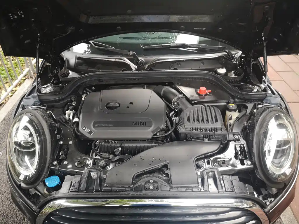 MINI OTHER 2021