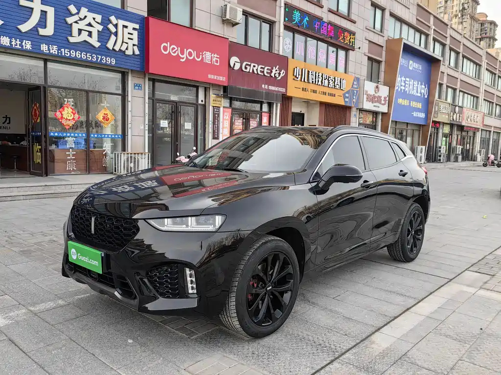 WEY VV7