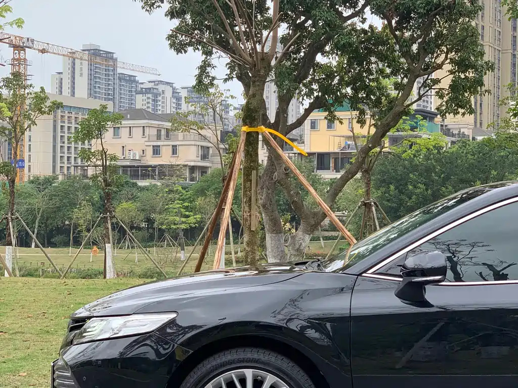TOYOTA CAMRY 2019