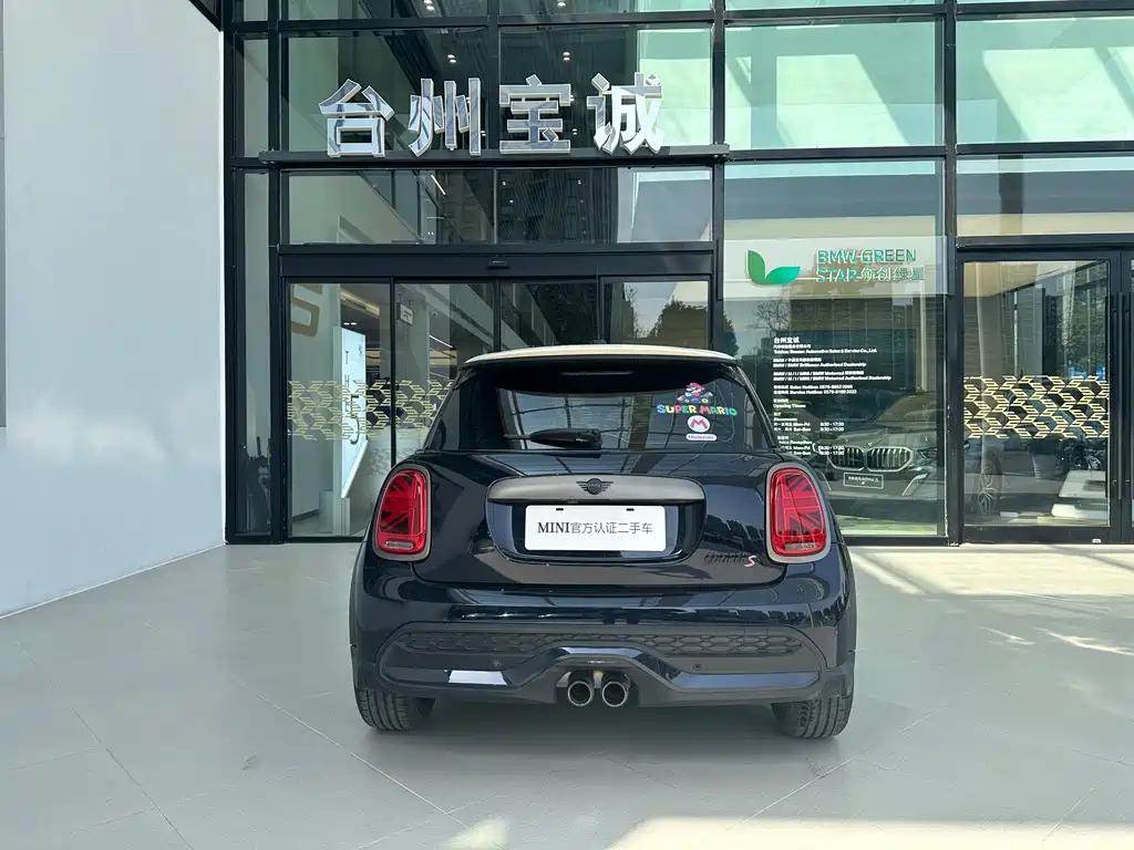 MINI OTHER 2023