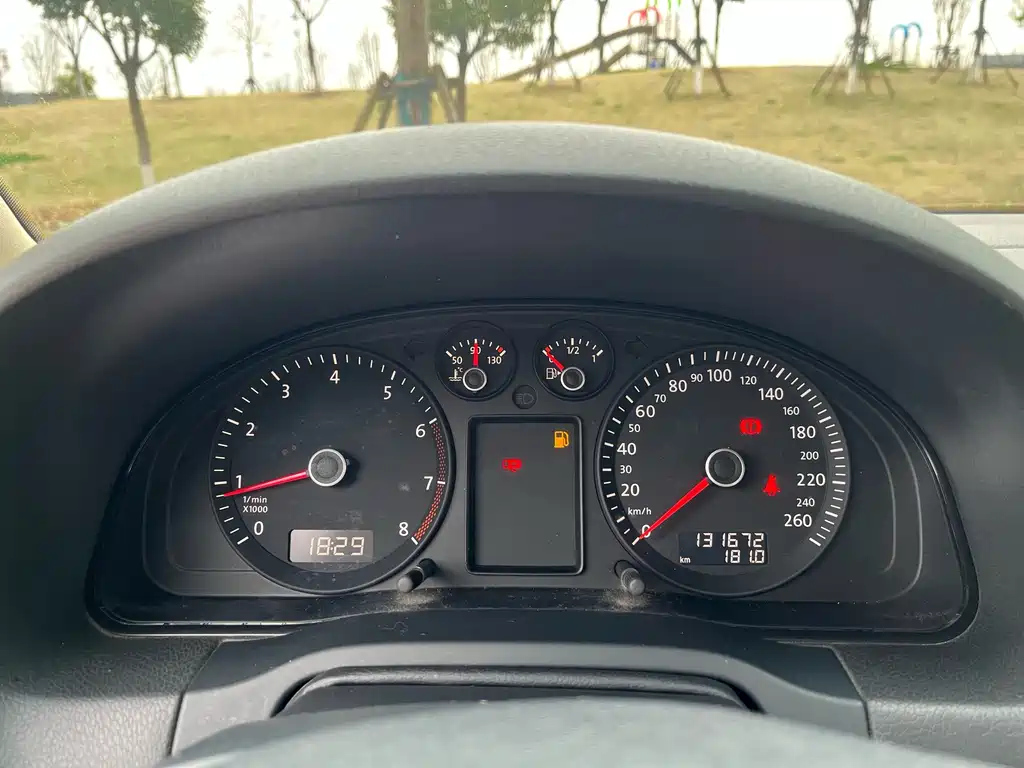 VOLKSWAGEN OTHER 2010