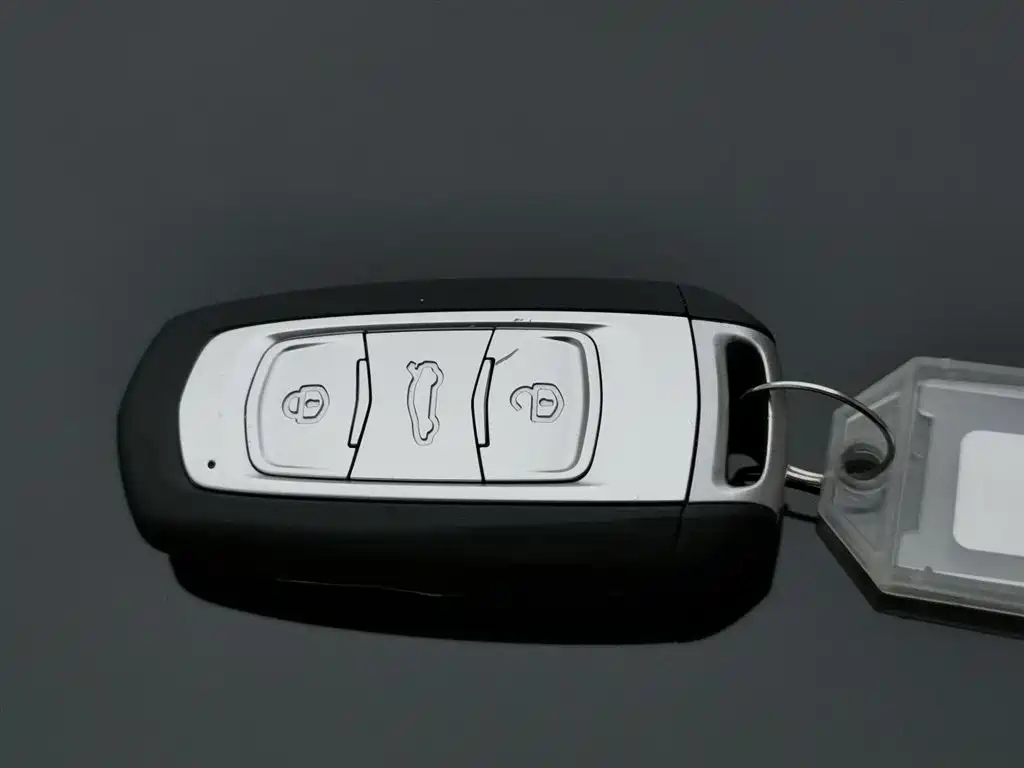 GEELY AUTO BOYUE 2019