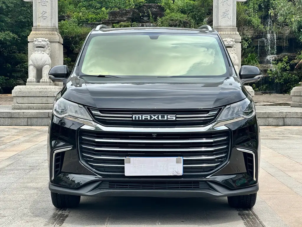 MAXUS OTHER 2019