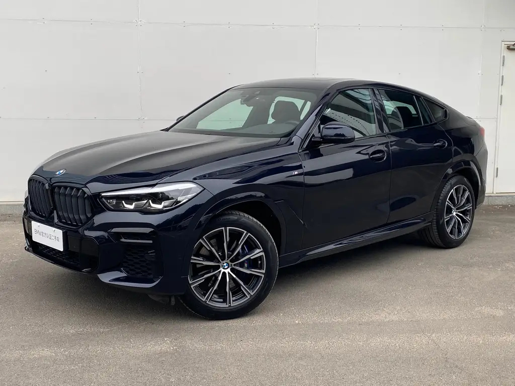 BMW X6 2022