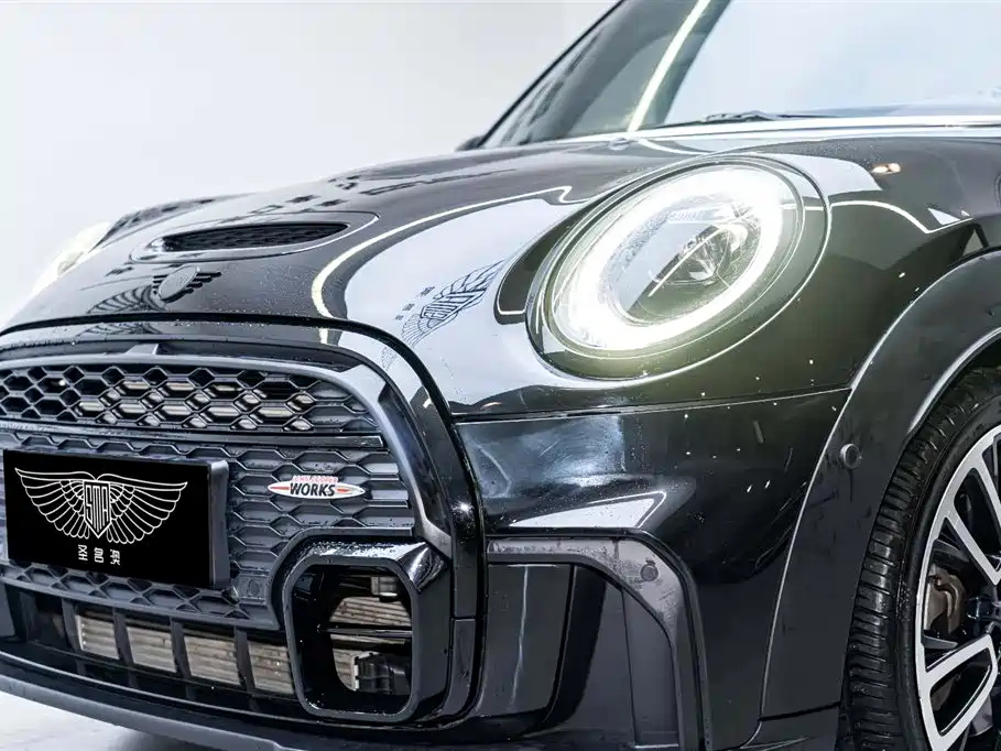 MINI OTHER 2021