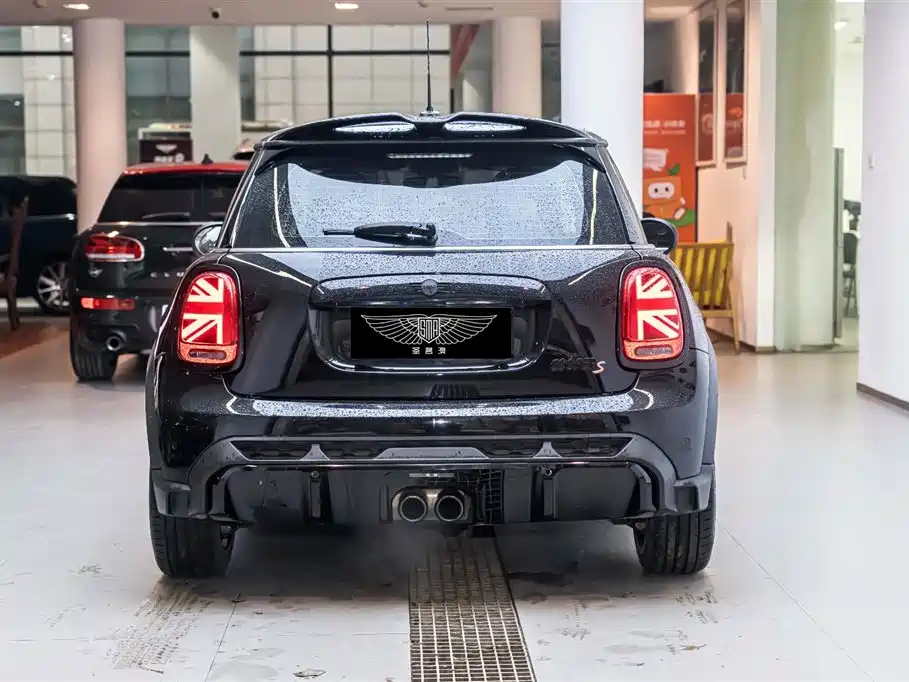 MINI OTHER 2021