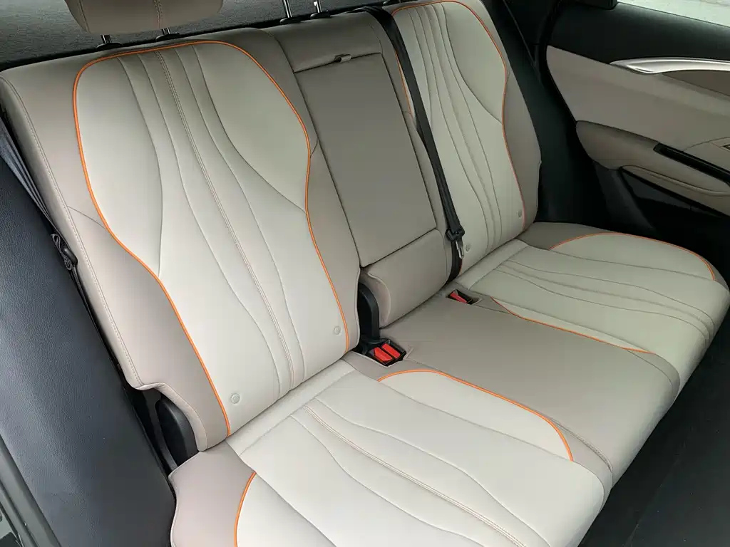 BYD SONG PRO NEW ENERGY 2024