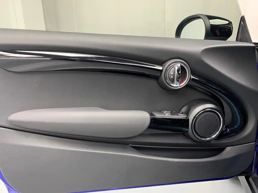 MINI OTHER 2020