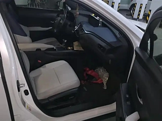 catalog-car-8