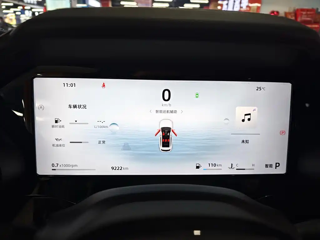 GEELY AUTO MONJARO 2024