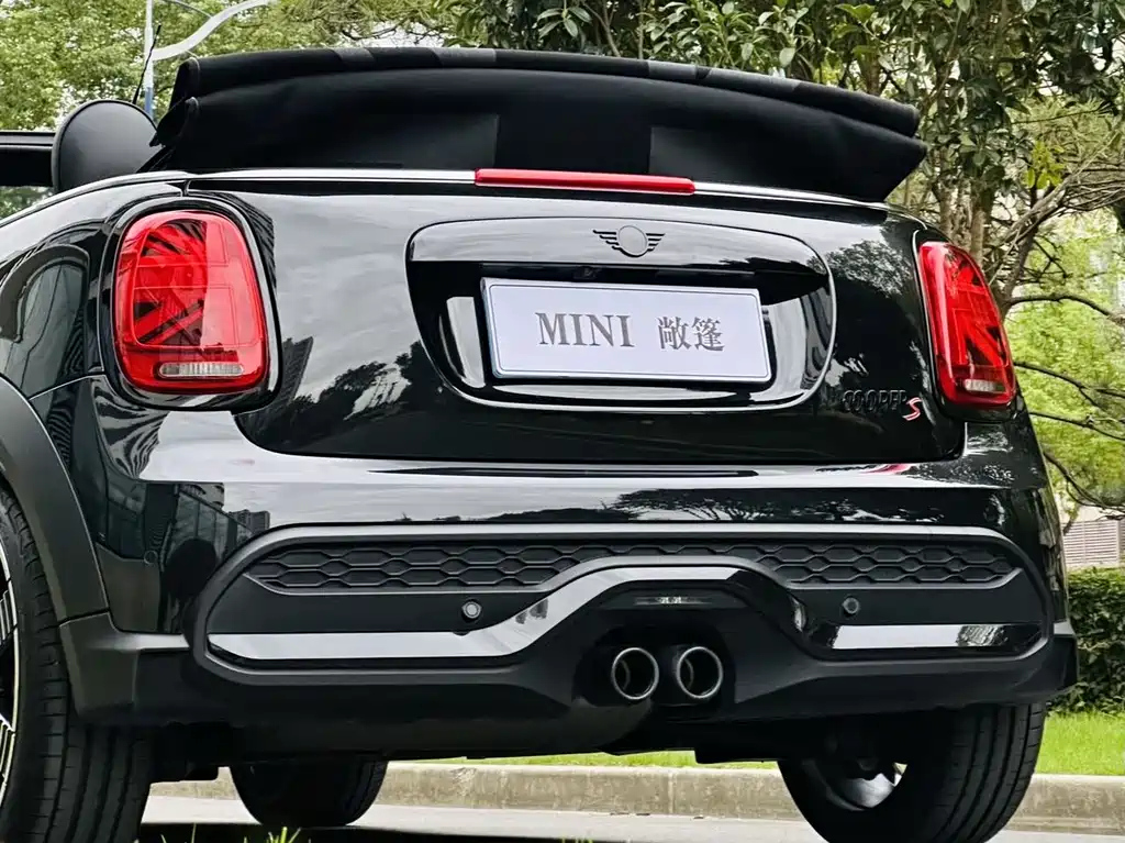MINI OTHER 2023