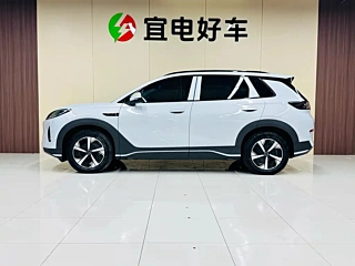 BYD OTHER 2025 YEAR 520KM EDITION 2025