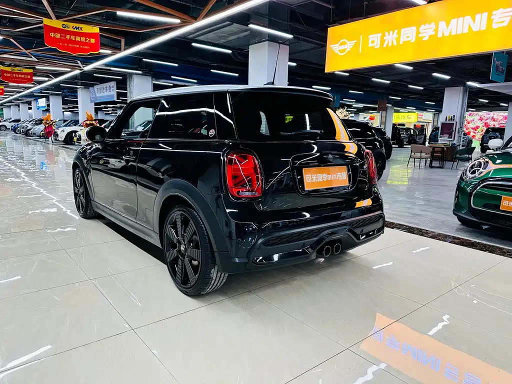 MINI OTHER 2023