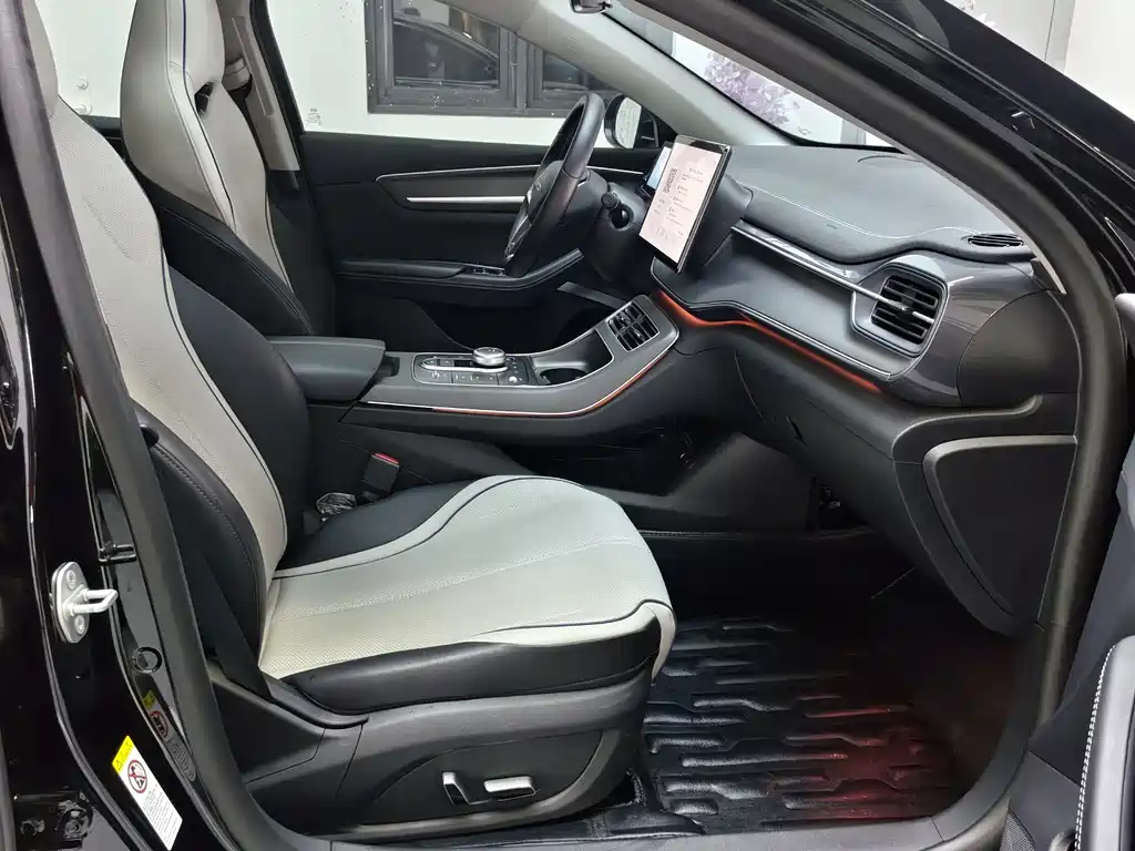 BYD DESTROYER 05 2023