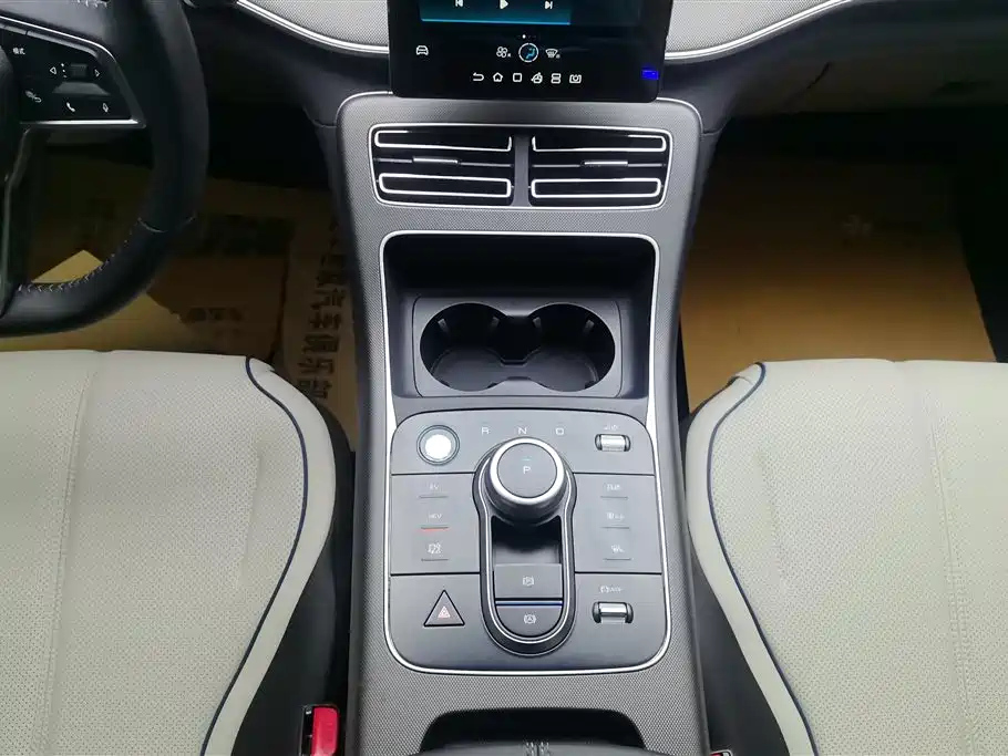 BYD DESTROYER 05 2024