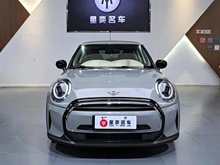 MINI OTHER  2022