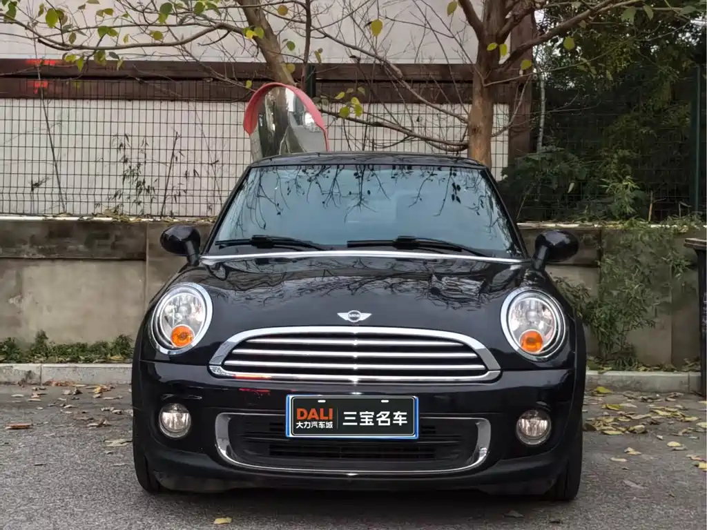 MINI OTHER 2013