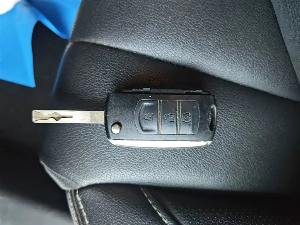 DONGFENG SCENERY 580 2021