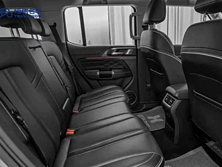 TANK 300 2021 YEAR EDITION 2.0T 2021