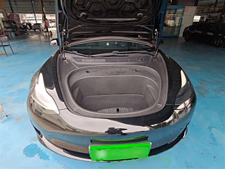 TESLA MODEL 3  2021