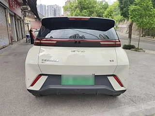 BYD SEAGULL  2025 YEAR 305KM FREEDOM EDITION 2025