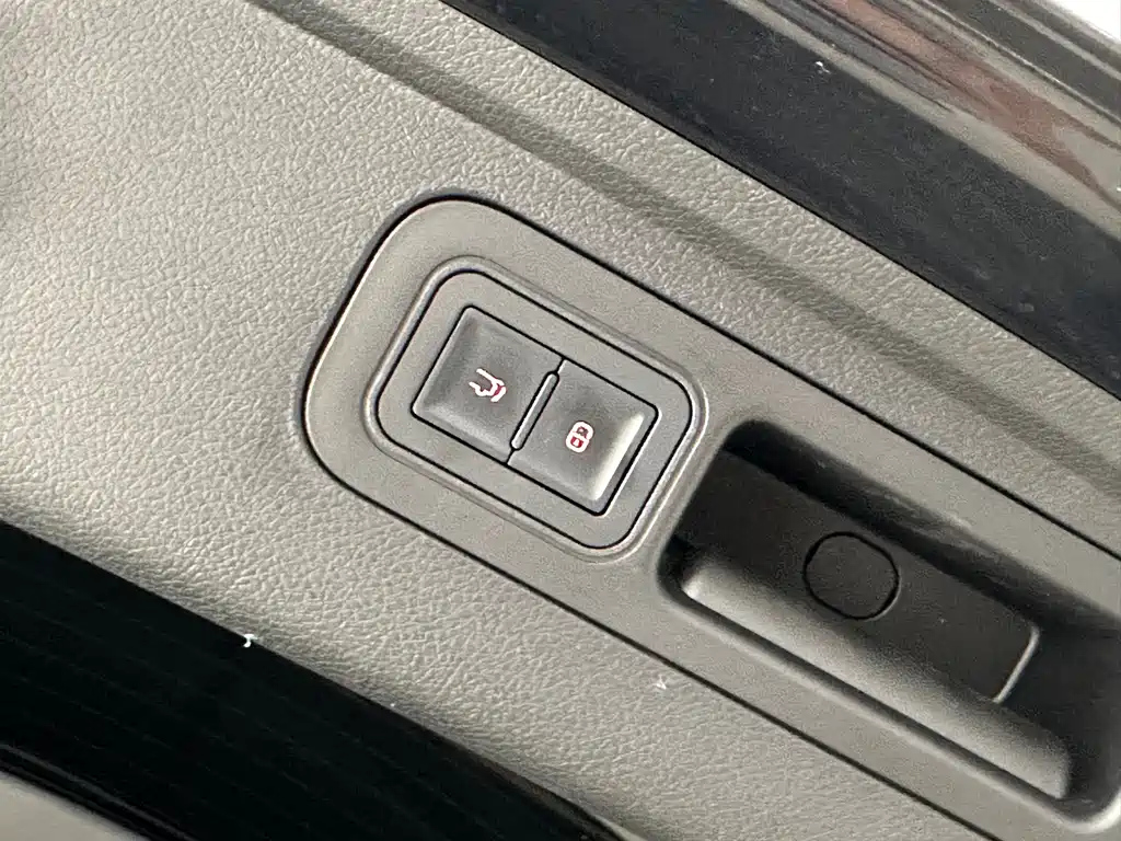 BYD TANG NEW ENERGY 2024