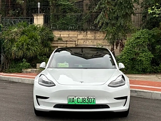 TESLA MODEL 3  2020