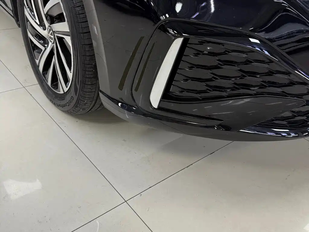 VOLKSWAGEN LAVIDA 2024