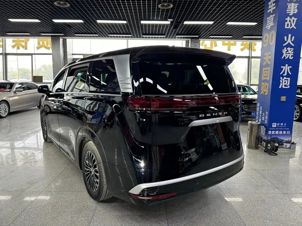 DENZA D9 2024