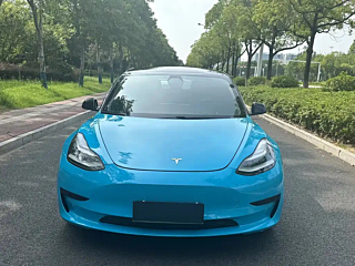 TESLA MODEL 3 2020