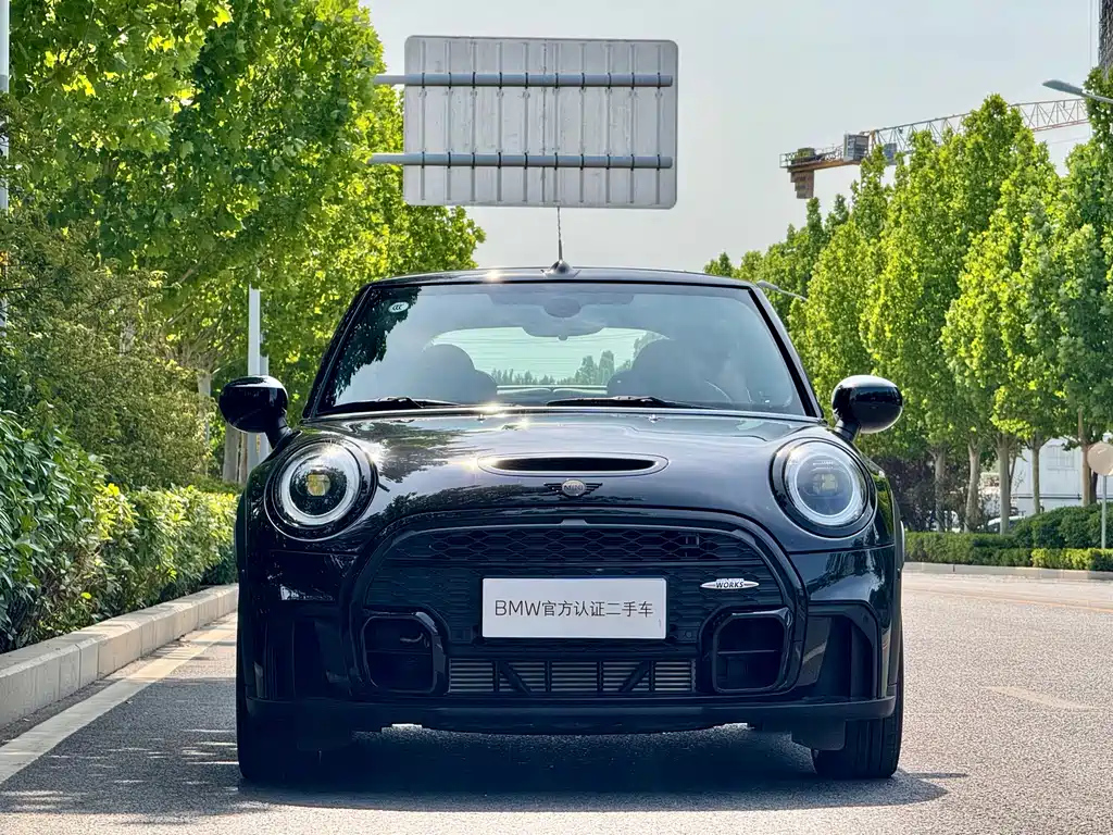 MINI OTHER 2023