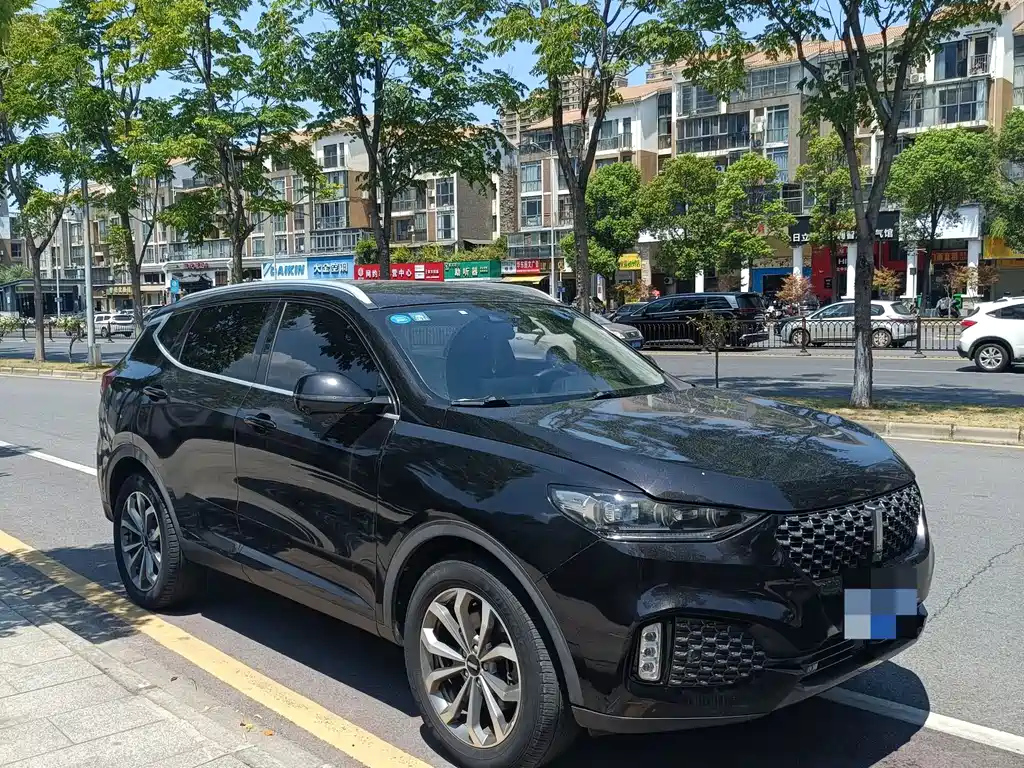 WEY VV6 2020