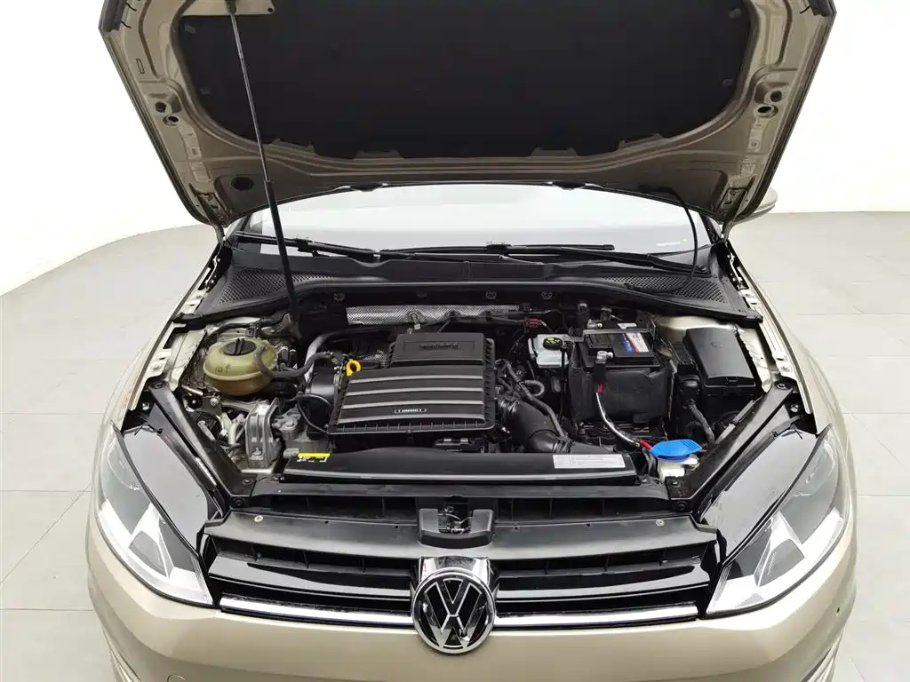 VOLKSWAGEN GOLF 2017