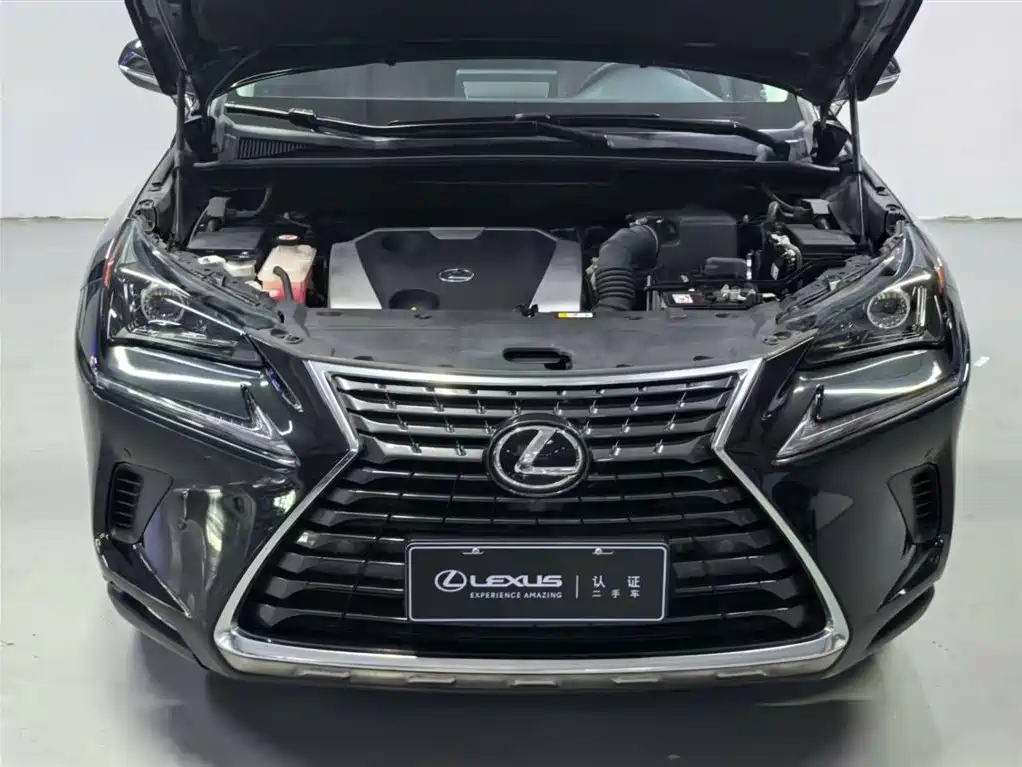LEXUS NX 2018