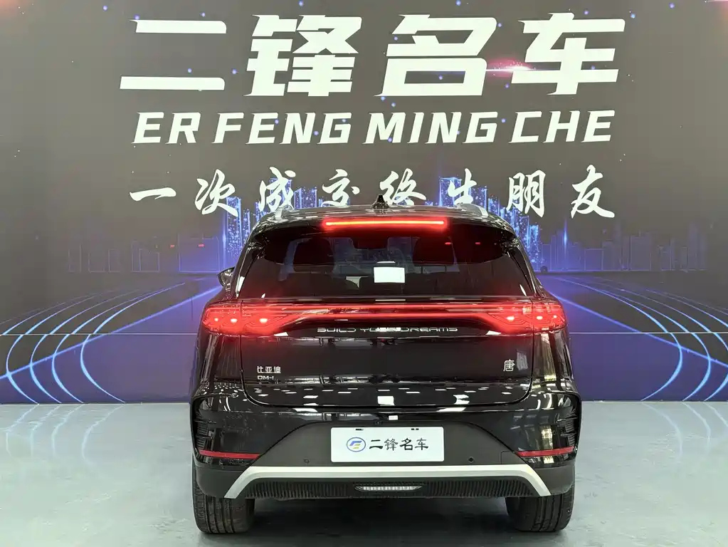 BYD TANG NEW ENERGY 2025