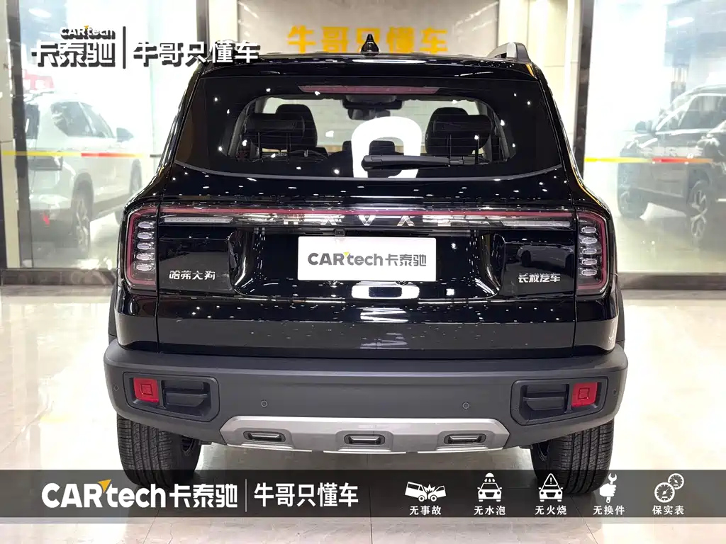 HAVAL BIG DOG 2024