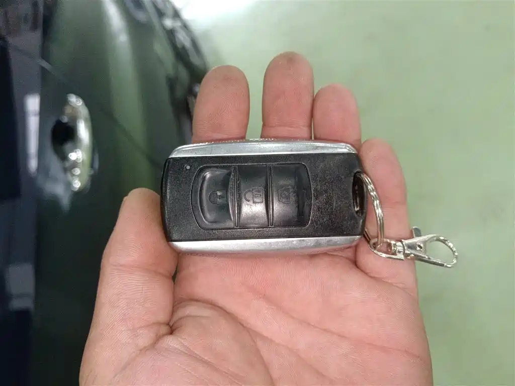 DONGFENG SCENERY 580 2018