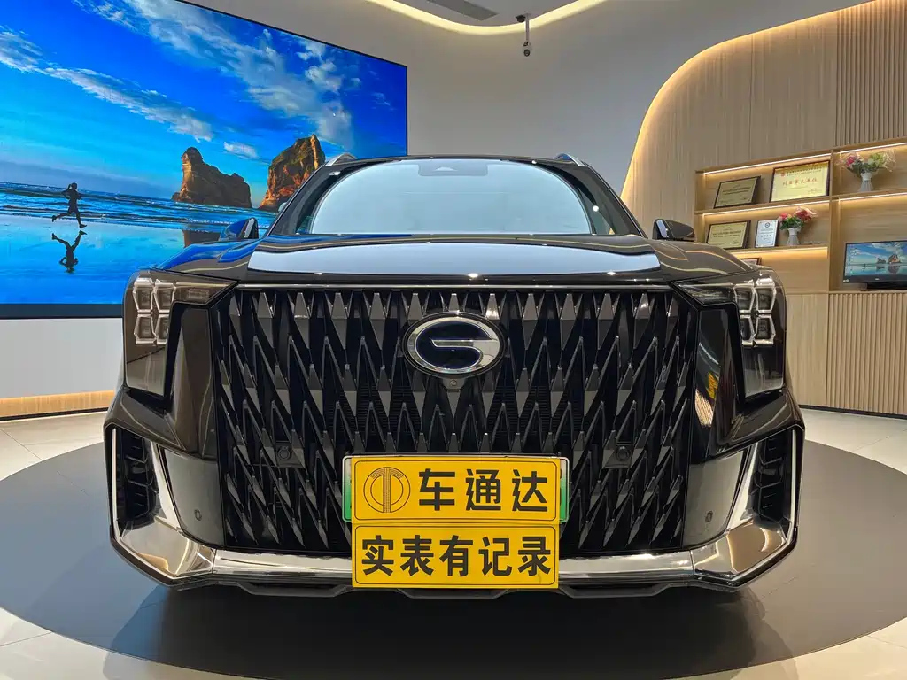 Аукционный лист TRUMPCHI ES9 2023