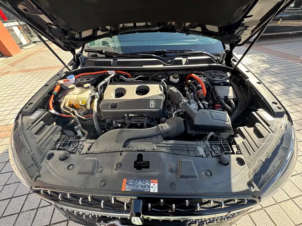 LINCOLN ADVENTURER 2024