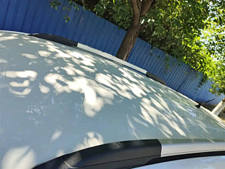 catalog-car-31