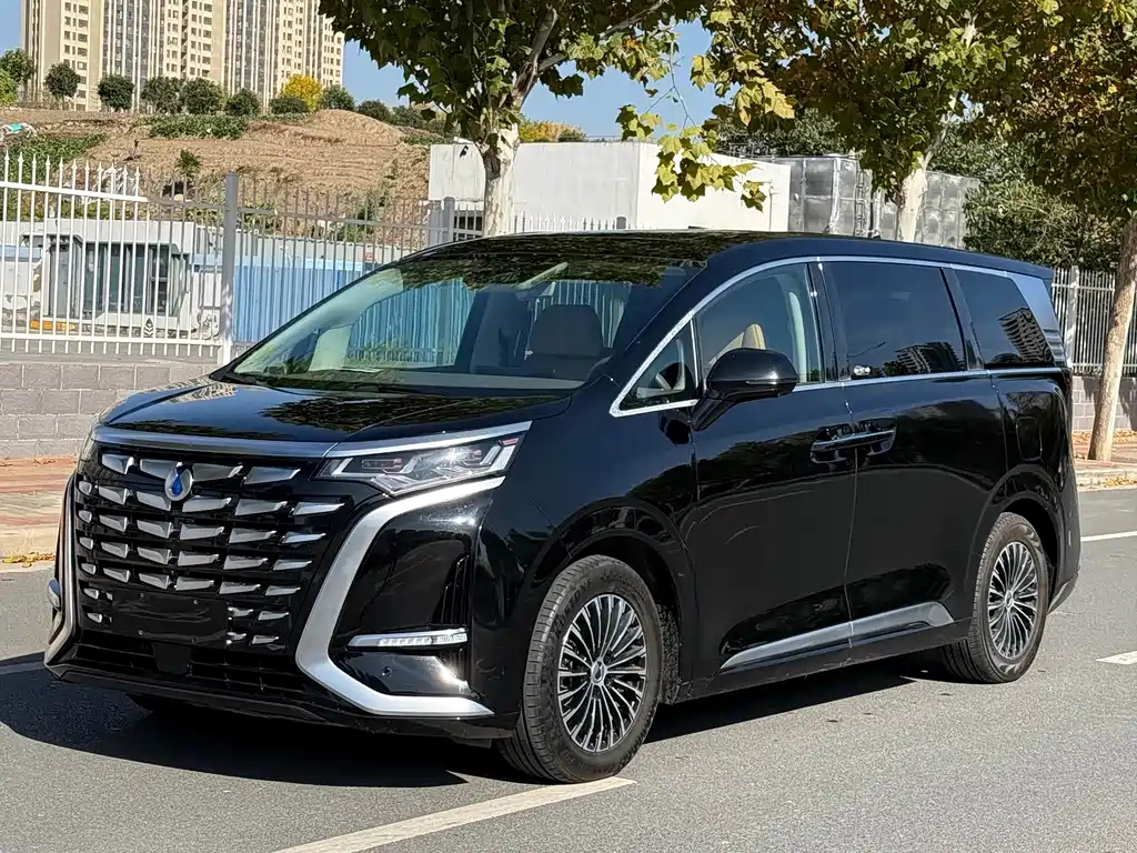 Аукционный лист DENZA D9 2023