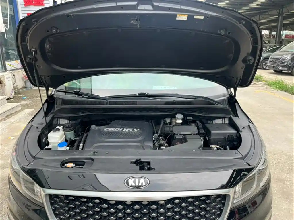 KIA CARNIVAL IMPORT 2017