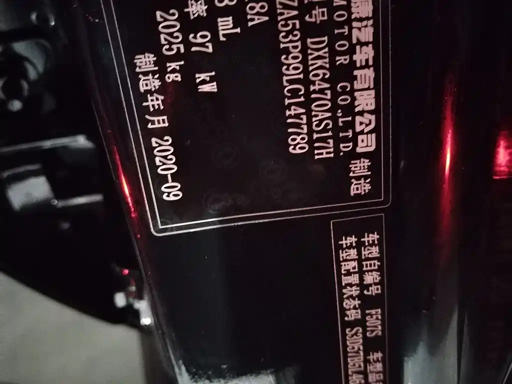DONGFENG SCENERY 580 2020