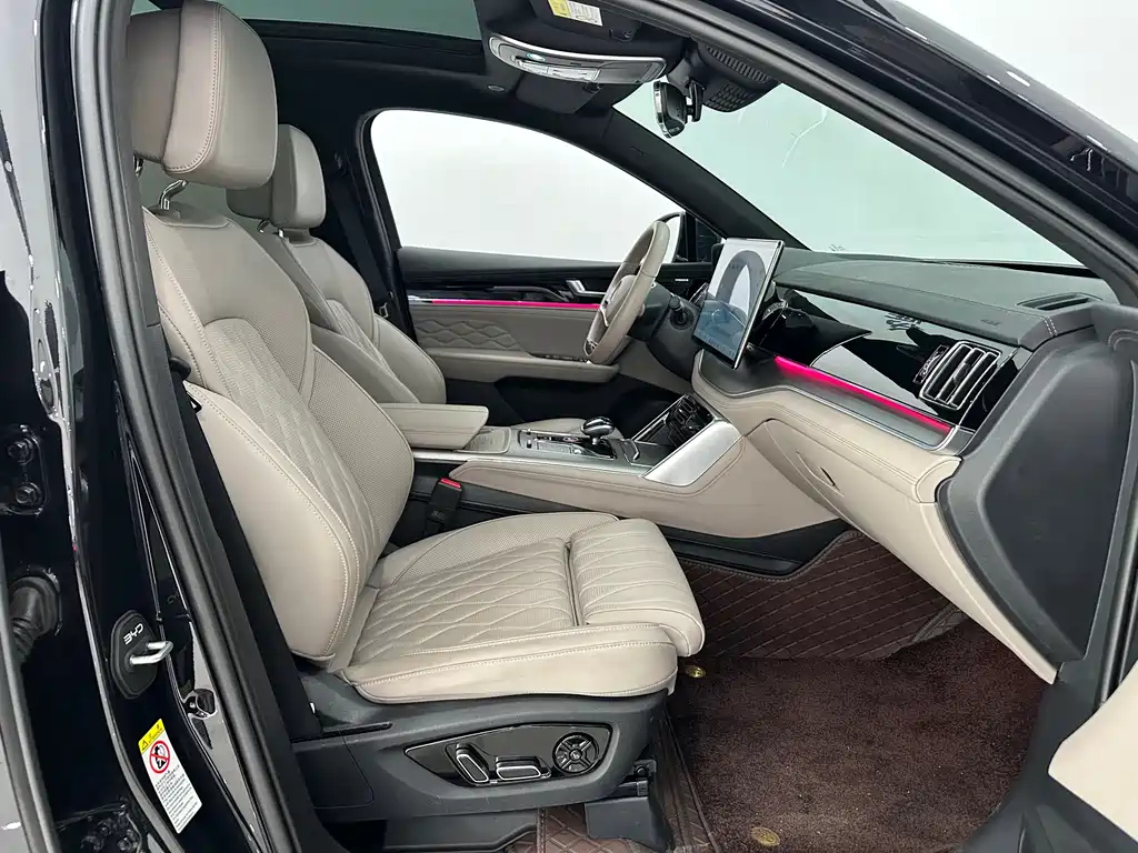 BYD TANG NEW ENERGY 2024