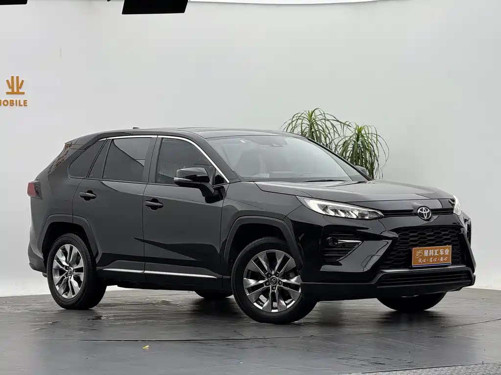 TOYOTA WILDLANDER 2022